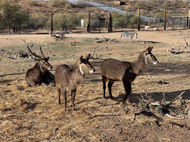 Why This Backyard Safari Is Worth The Drive