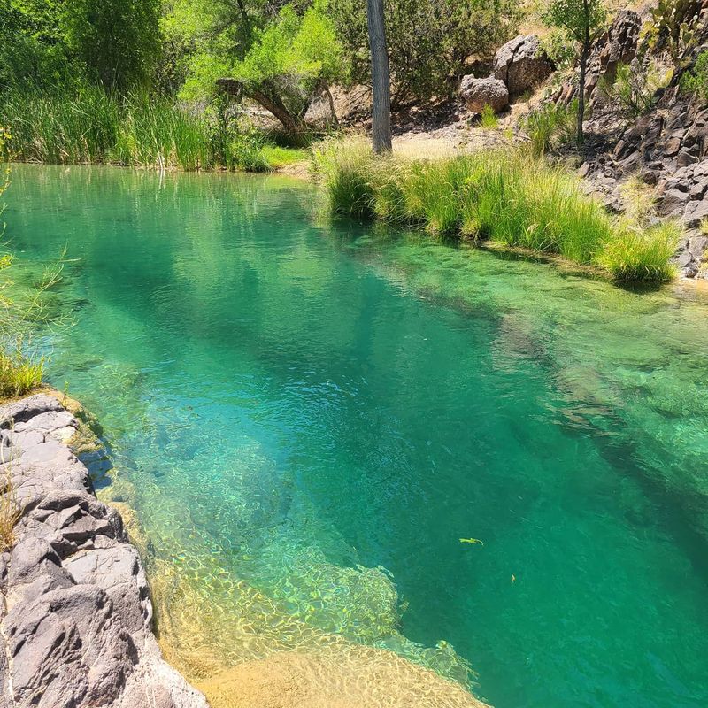 Why This Blue Creek Keeps Calling You Back