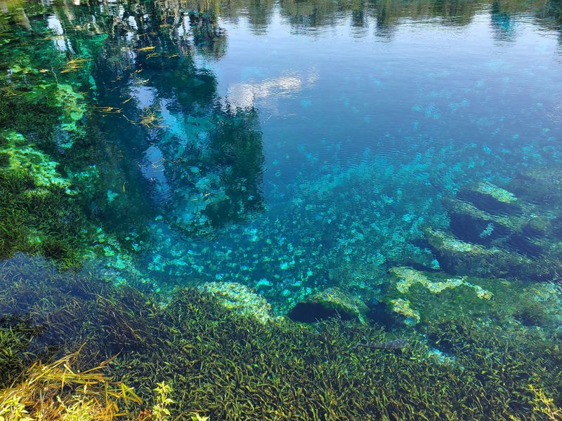 Why This Old Florida Spring Still Wins Why This Old Florida Spring Still Wins