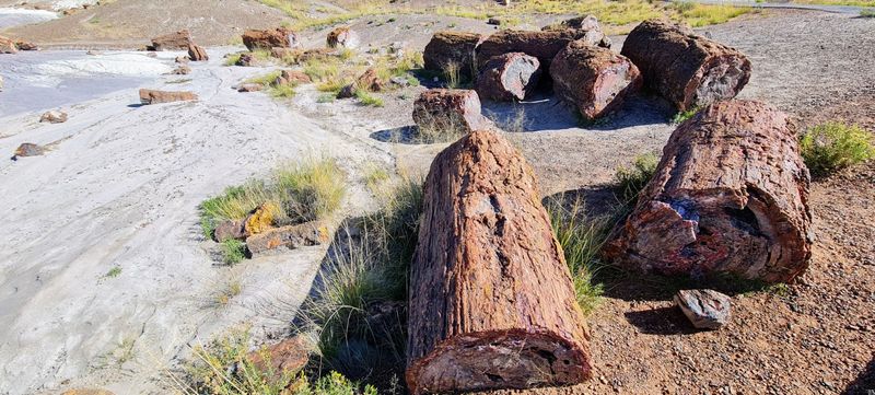 Why This Stone Forest Earns The Drive Why This Stone Forest Earns The Drive