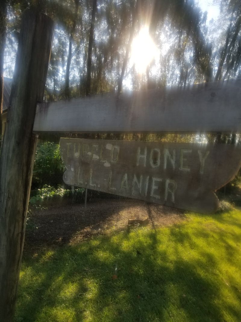Why Tupelo Honey Is So Rare
