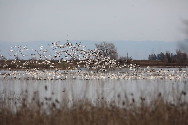Why the Refuge Deserves a Spot on Your Calendar