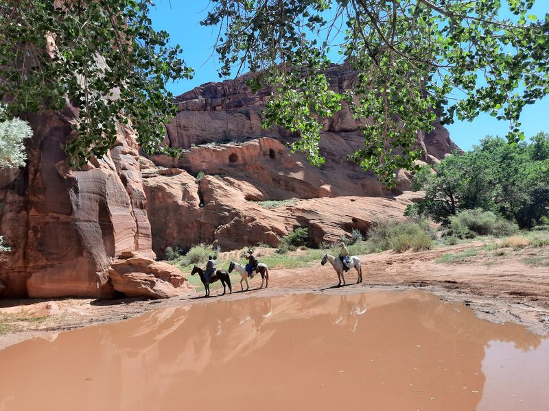 Wild Ponies and Quiet Canyon Life Wild Ponies and Quiet Canyon Life