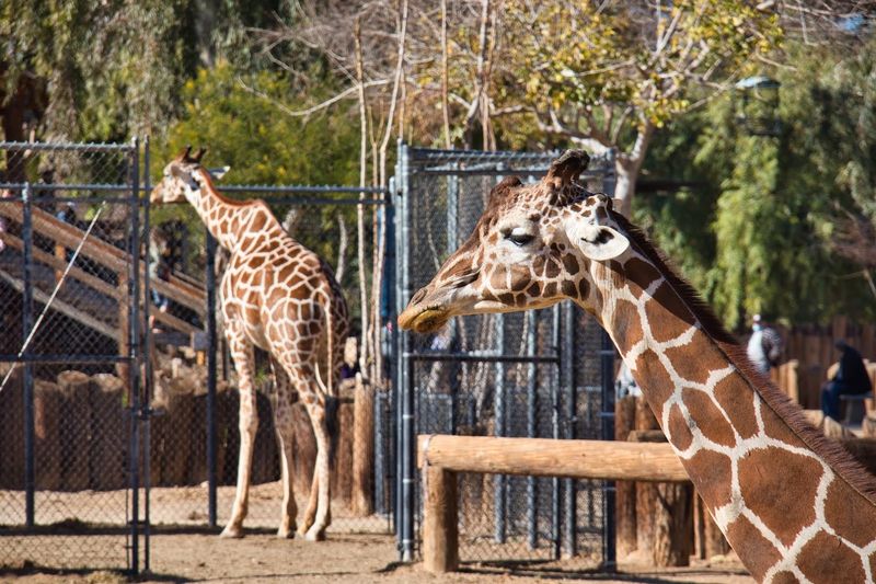 Wildlife World Zoo, Aquarium & Safari Park, Litchfield Park, AZ