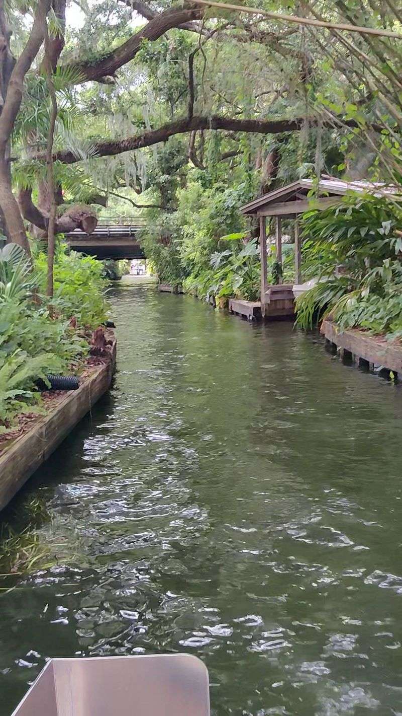 Wildlife and Lush Scenery Along the Banks