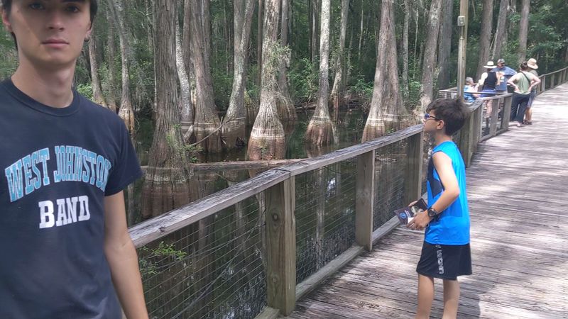 Wolves, Gators, and a Creature Called the BearCat