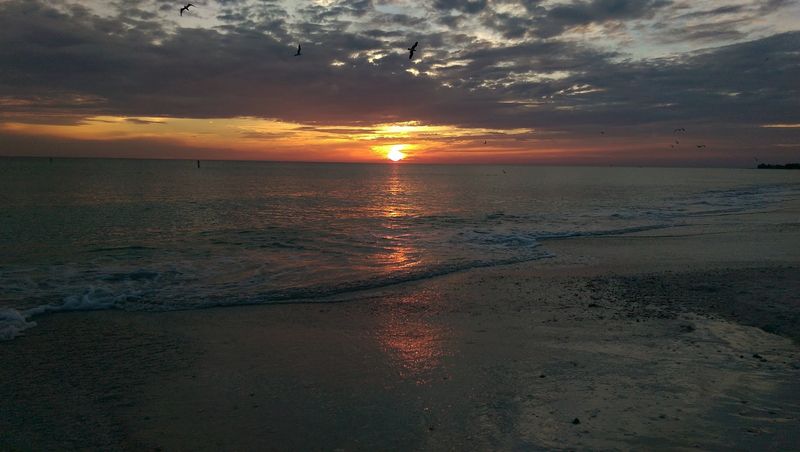 Worth the Boat Ride