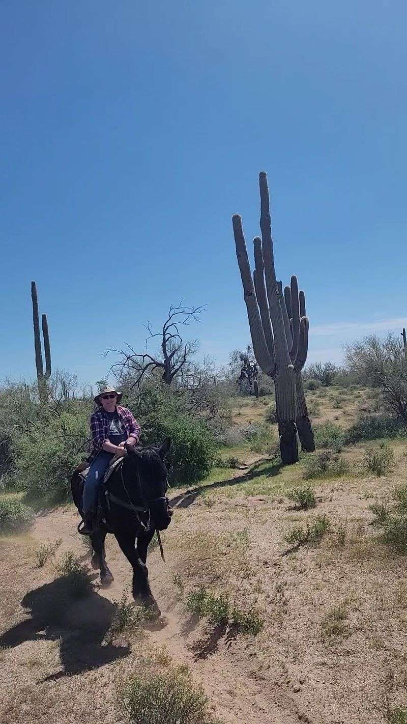 Wranglers Who Keep It Fun And Safe Wranglers Who Keep It Fun And Safe