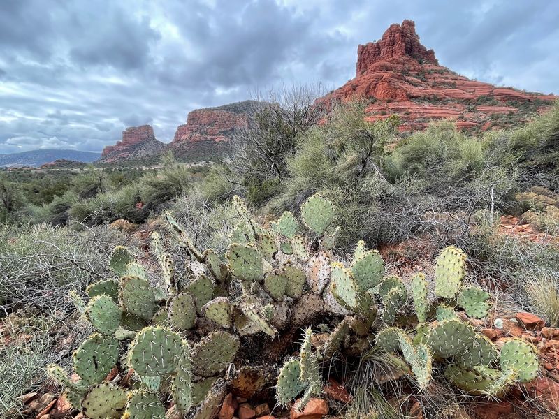 A Backyard Trail Worth the Drive