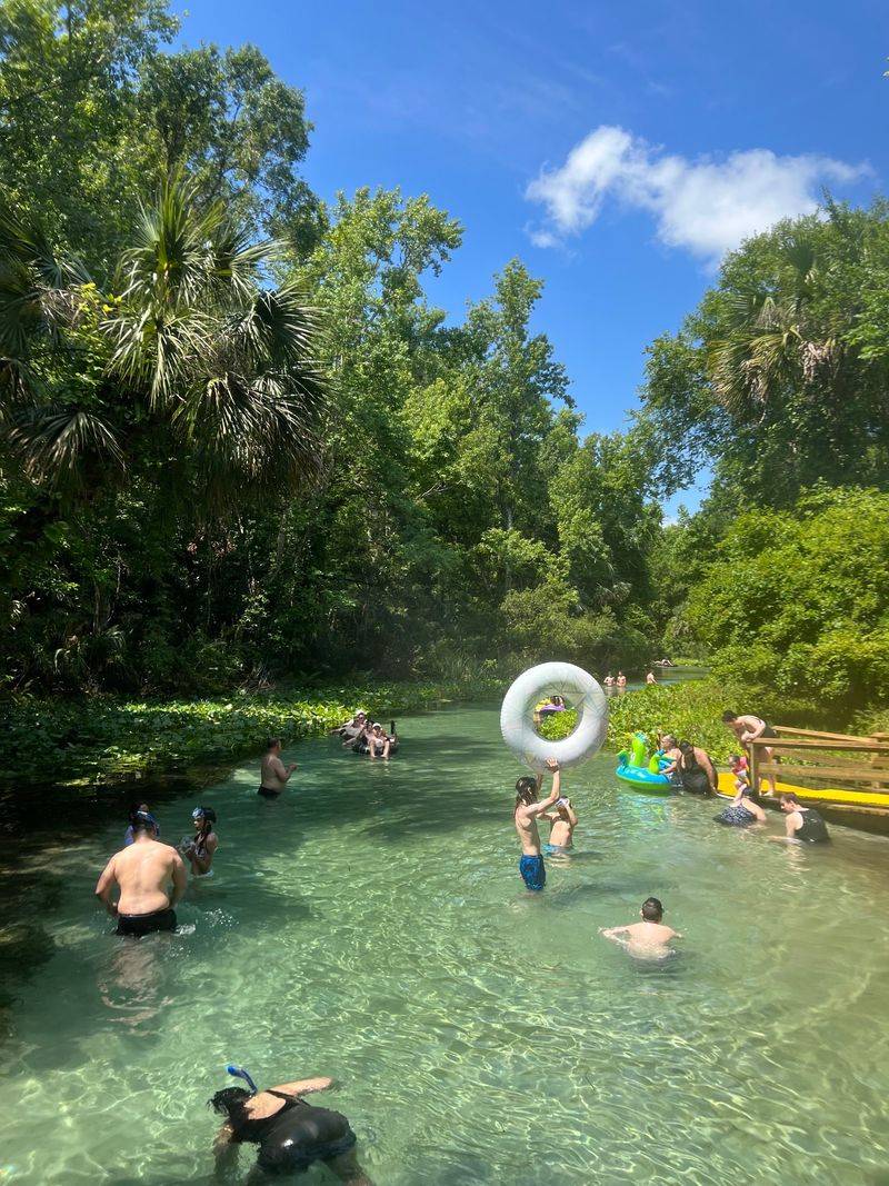 A Budget Float Worth the Wake-Up Call
