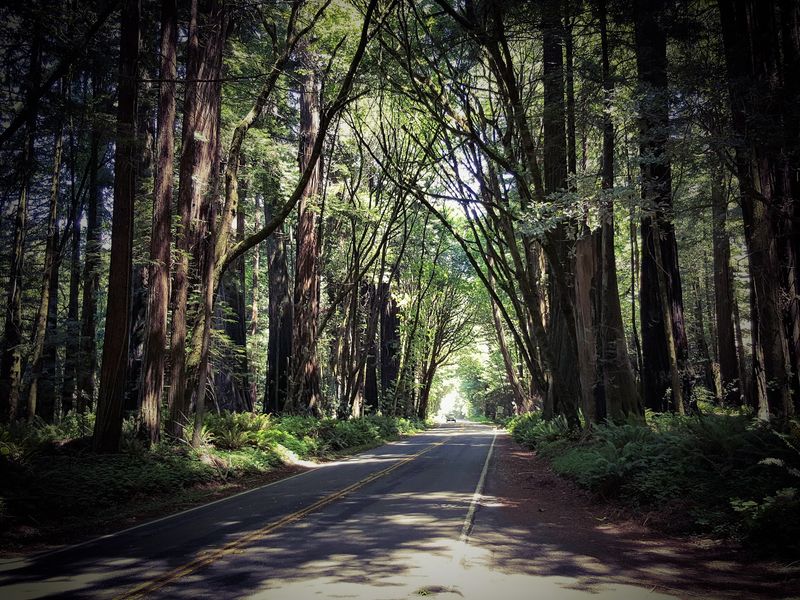 A Calm Drive for Every Kind of Traveler