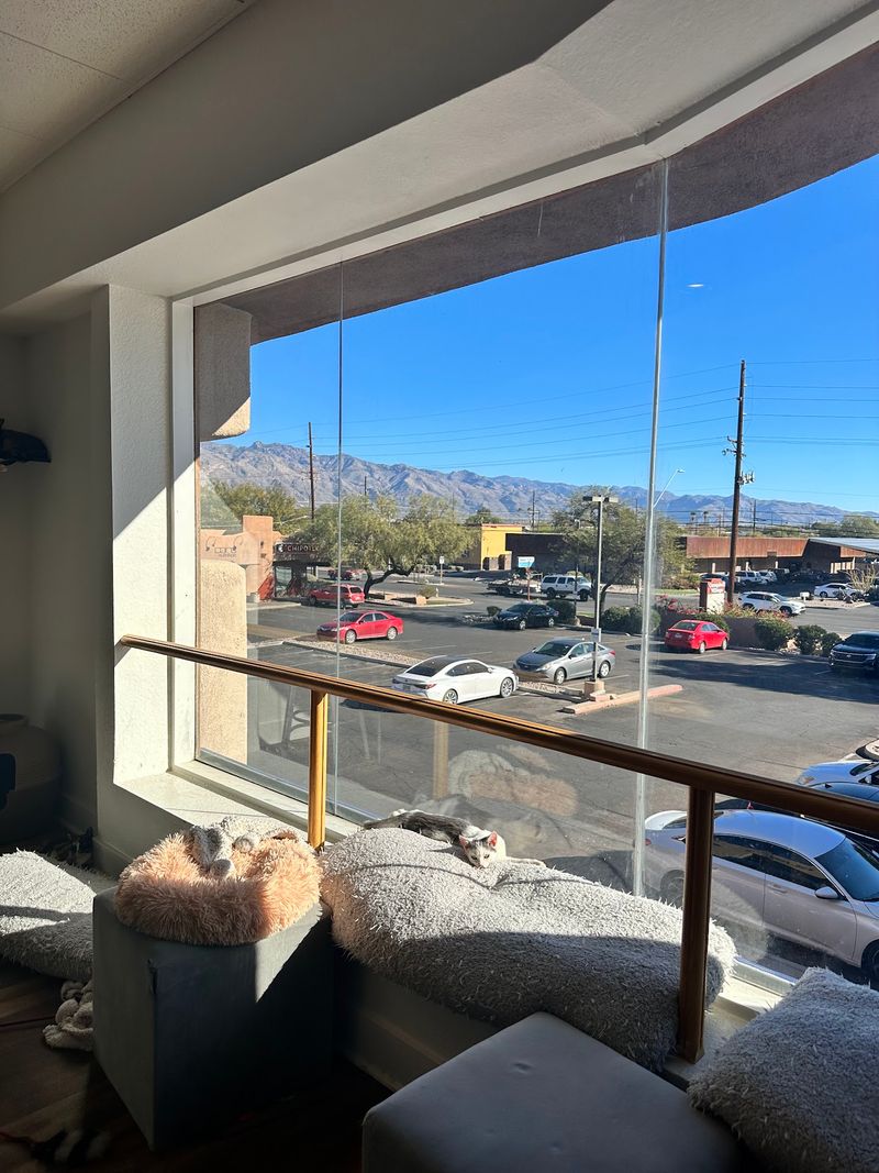 A Campbell Avenue Address With 45 Roommates