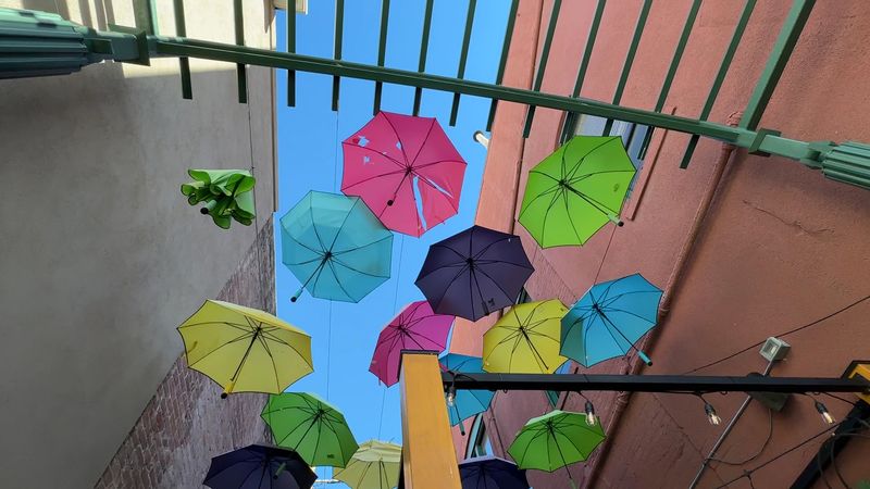 A Canopy That Gets Refreshed