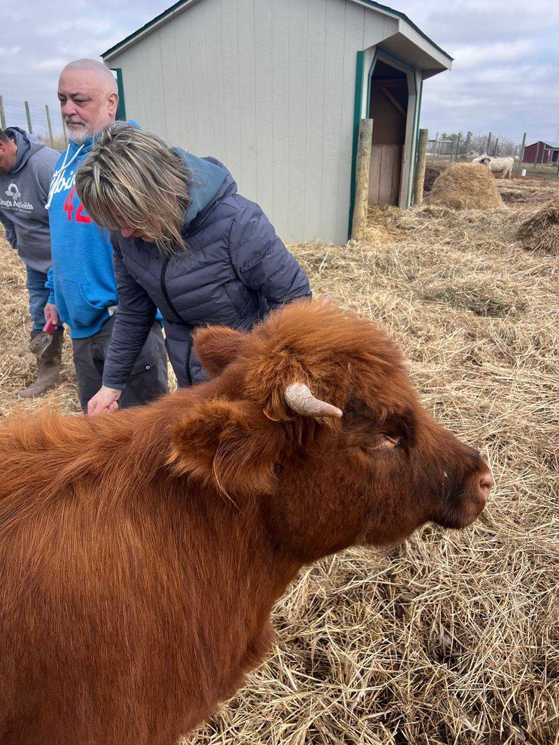 A Class That Doubles as Cow School A Class That Doubles as Cow School