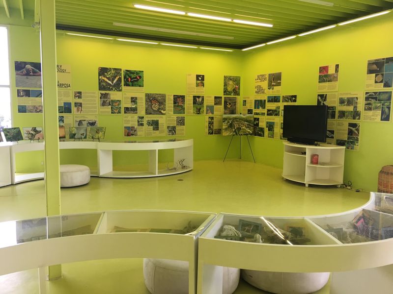 A Classroom Without Walls