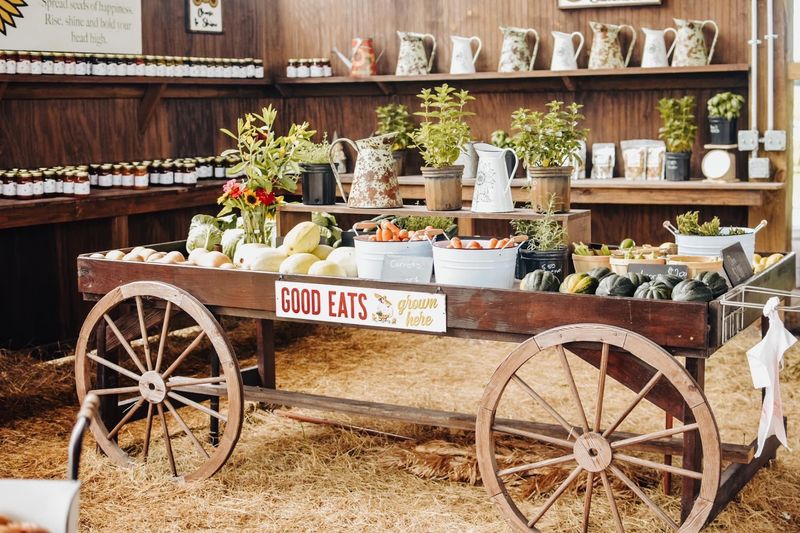 A Family Farm Off a Quiet Dunnellon Road