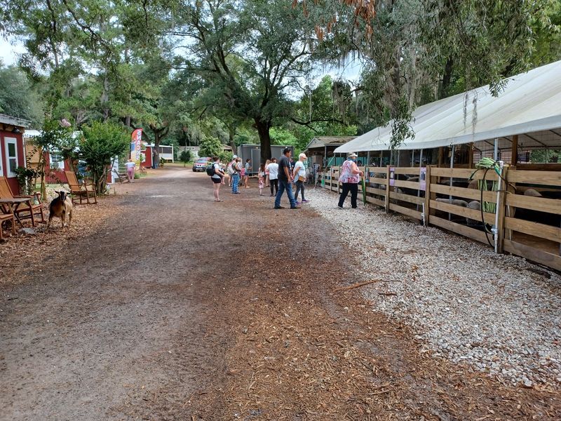 A Farm Hideaway on County Road 315 A Farm Hideaway on County Road 315