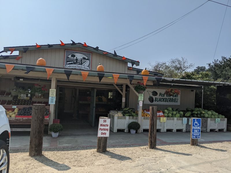 A Farm Stand Off East Los Angeles Avenue A Farm Stand Off East Los Angeles Avenue