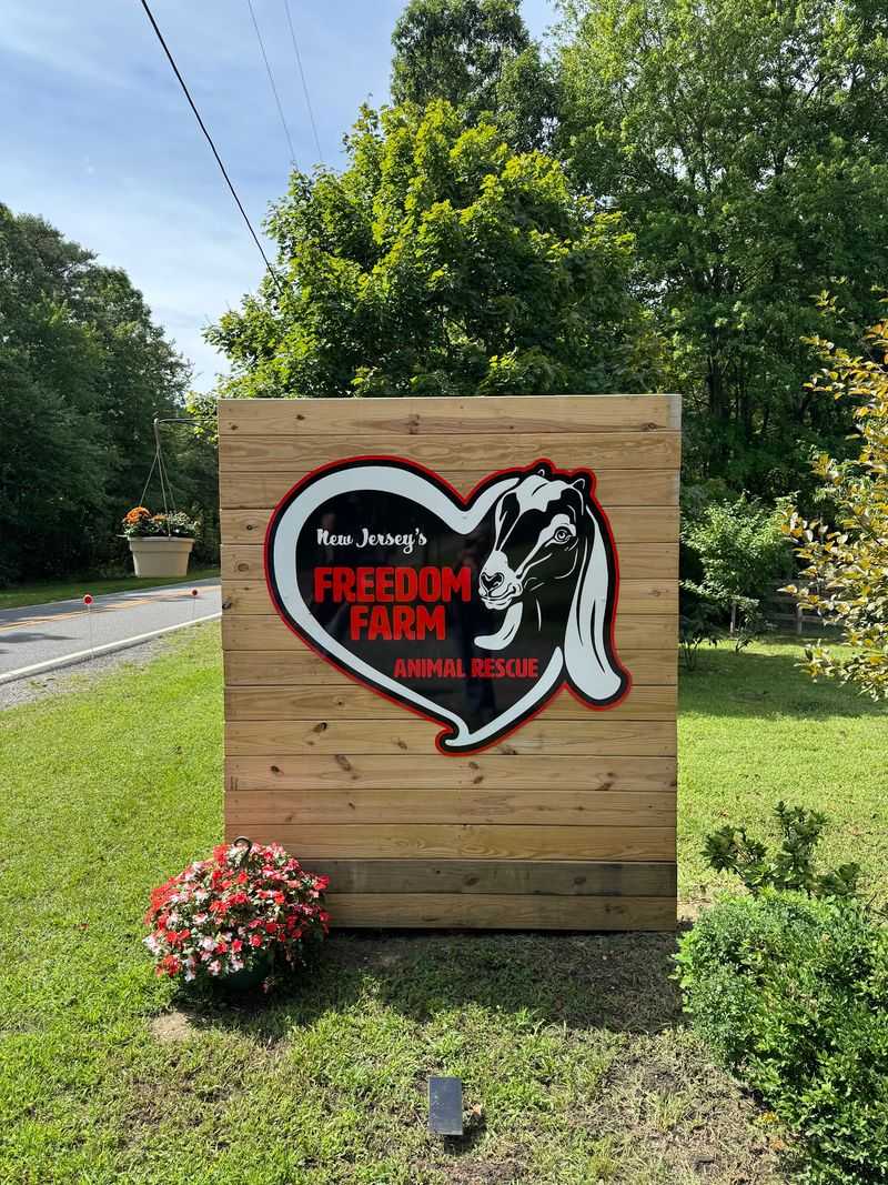 A Farm Where Second Chances Live A Farm Where Second Chances Live