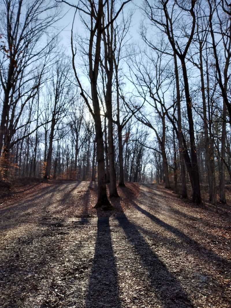 A Gravel Road That Doubles as the Trail A Gravel Road That Doubles as the Trail