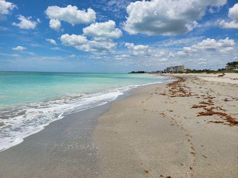 A Gulf Beach in the Town of Venice A Gulf Beach in the Town of Venice