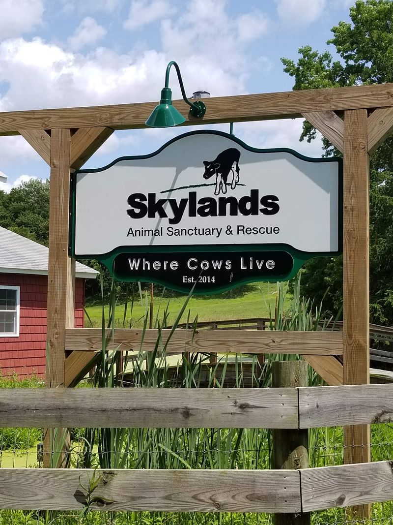 A Hilltop Haven in Wantage