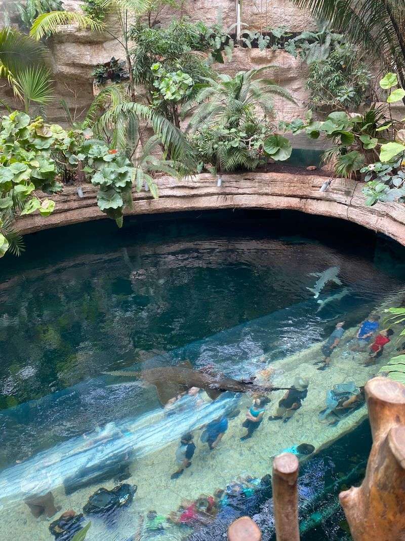 A Jungle Worth the Detour A Jungle Worth the Detour