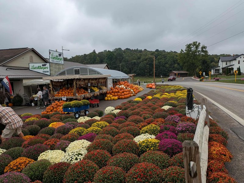 A Market Stocked Like a Country Pantry A Market Stocked Like a Country Pantry
