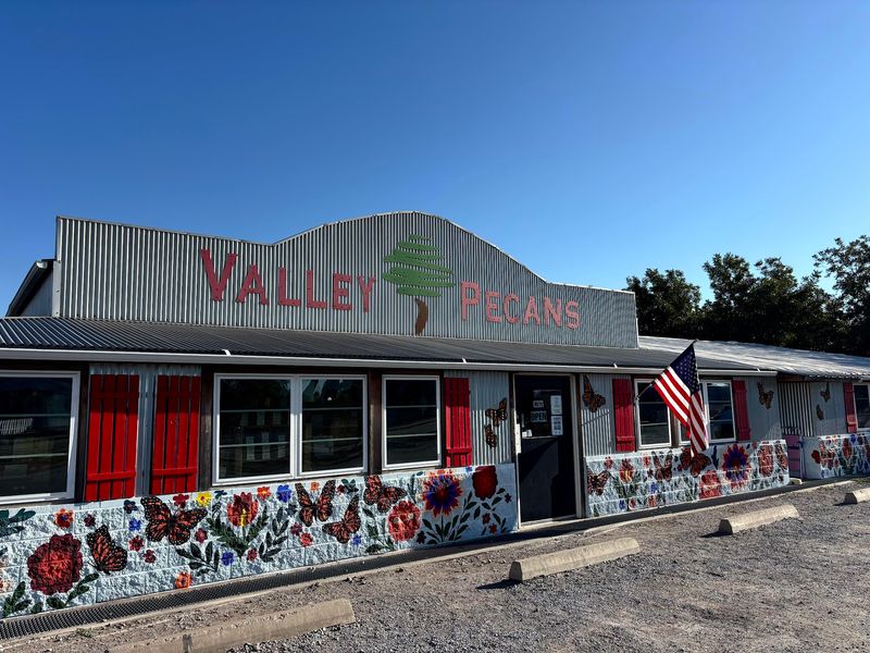A Pecan Stop on US-287
