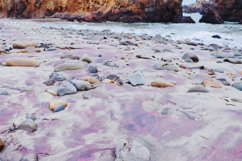 A Purple Secret Off Highway 1