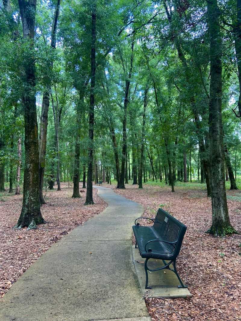 A Quiet Corner of Southwest Ocala