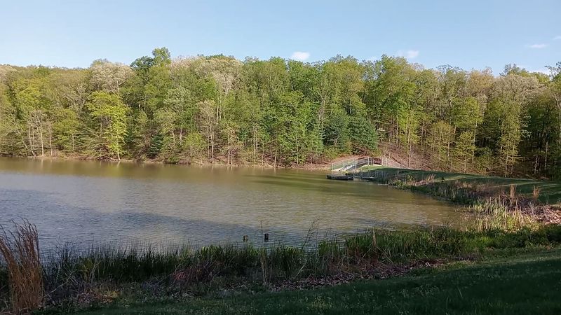 A Quiet Place to Reset