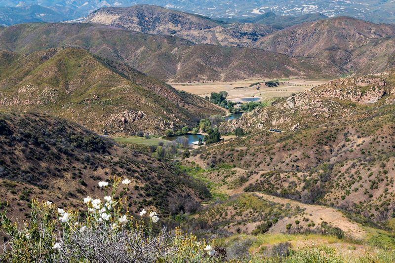 A Ranch Up Rose Valley Road