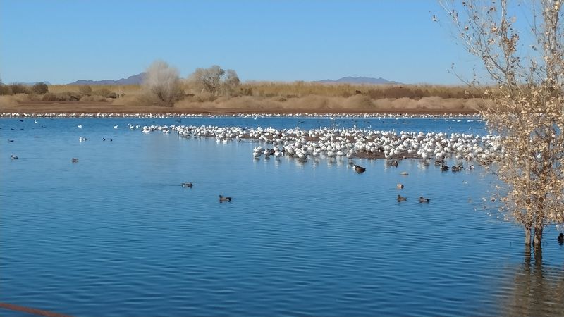 A Refuge Hiding Off Interstate 10
