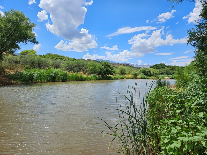 A Riverside Escape in Cottonwood