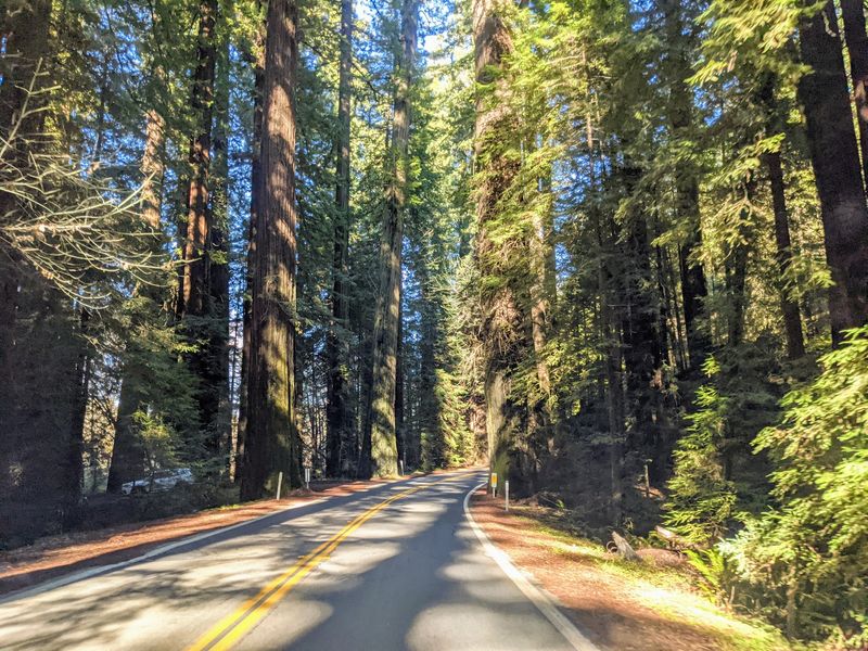 A Scenic Byway Hiding Beside the Freeway