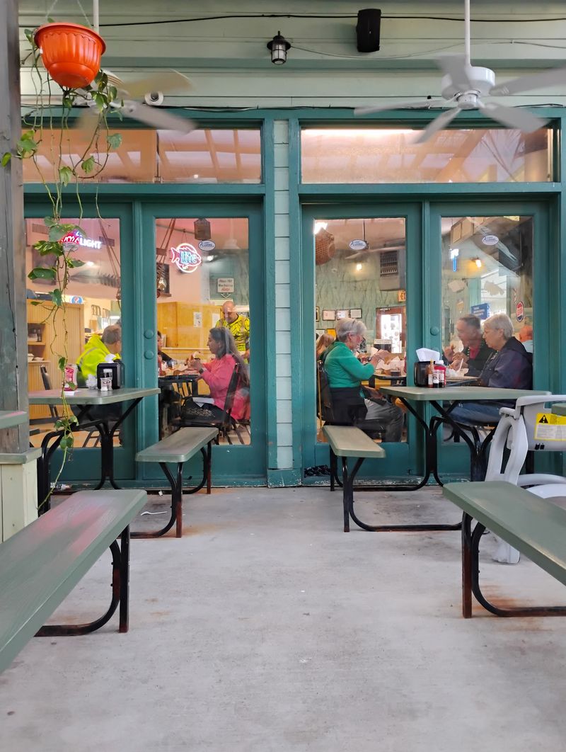 A Shady Patio and Island Live Feeds A Shady Patio and Island Live Feeds