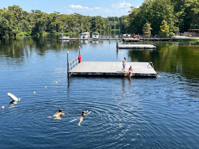 A Spring Built for Swimming