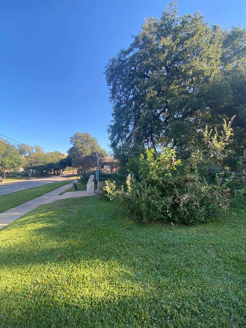 A Tiny Park on Baylor Street
