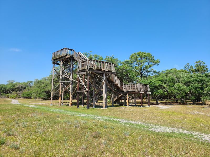 A Tower Built for Looking Around