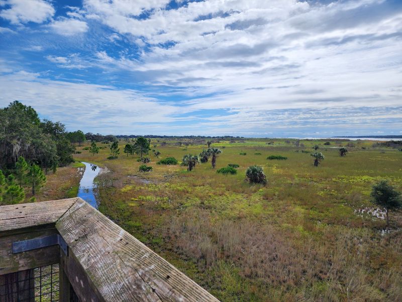A Wild Corner East of Lake Wales