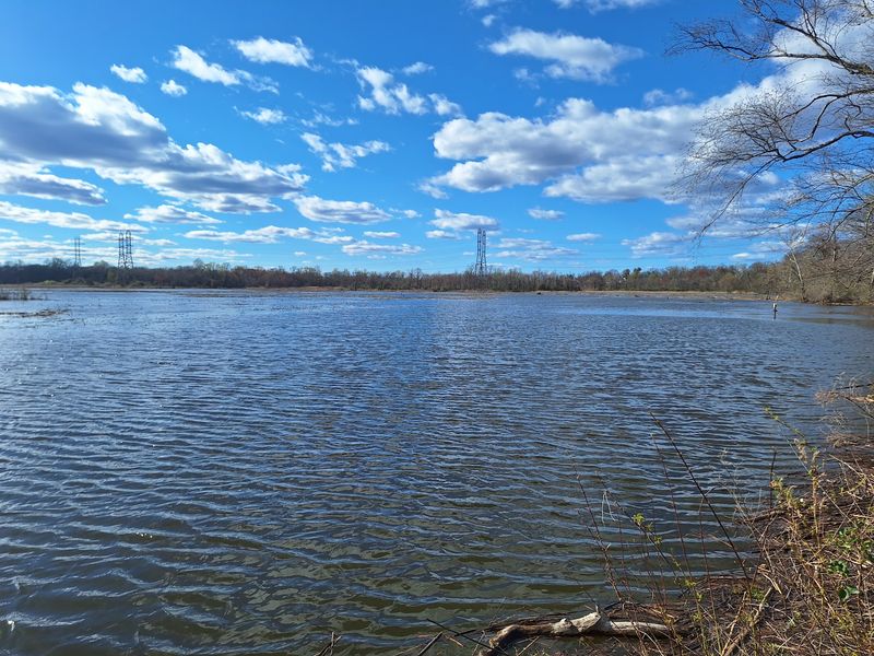 Abbott Marshlands - Roebling Park: Spring Lake, Hamilton Township, NJ Abbott Marshlands - Roebling Park: Spring Lake, Hamilton Township, NJ