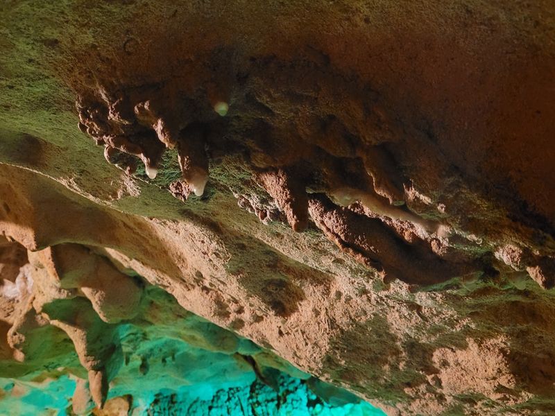 Ancient Seas Written on the Ceiling