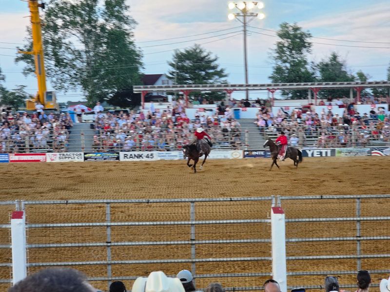 Bareback Broncs and Racing Barrels Bareback Broncs and Racing Barrels
