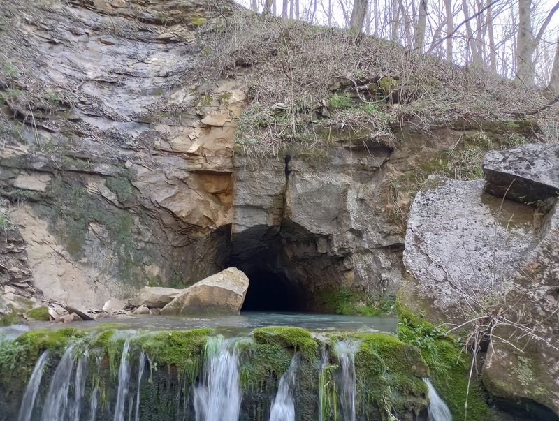 Bats, Salamanders, and the Case for Staying Out Bats, Salamanders, and the Case for Staying Out