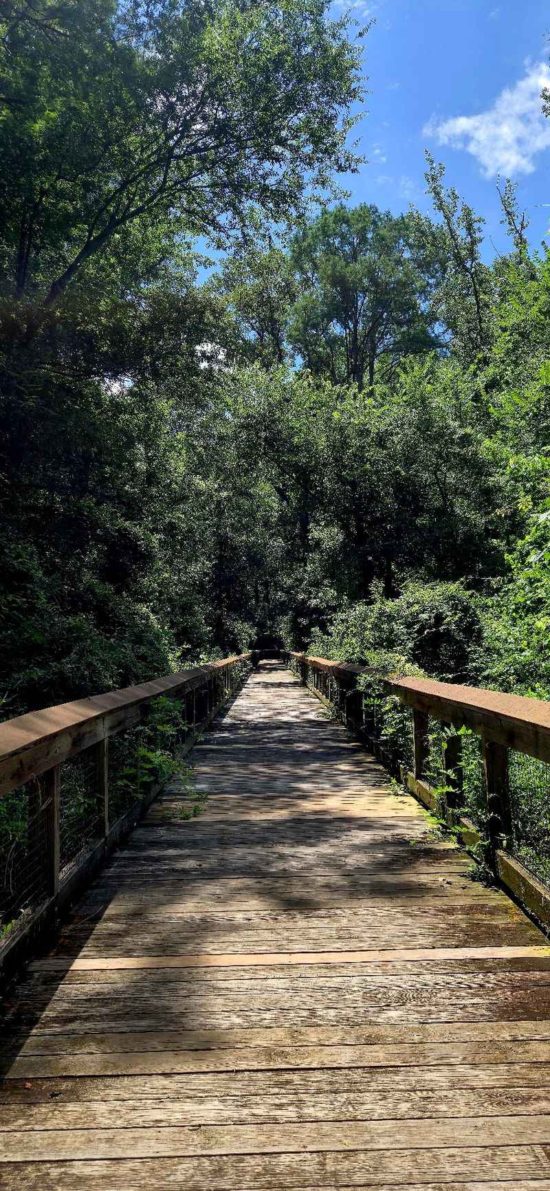 Bayou Boats and Scenic Trails Bayou Boats and Scenic Trails