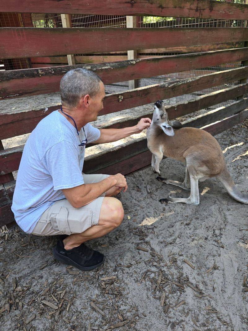 Beautiful Creatures Animal Ranch, Dunnellon, FL Beautiful Creatures Animal Ranch, Dunnellon, FL