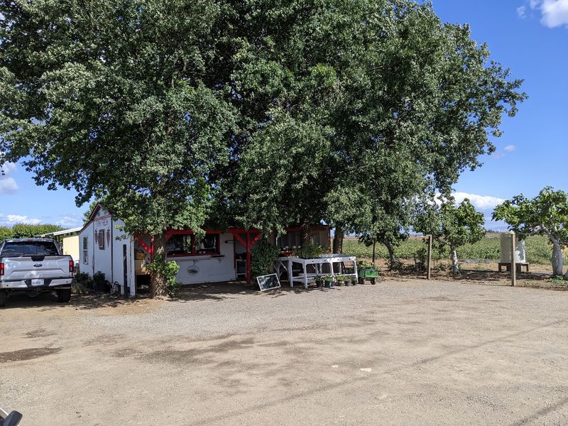 Berry Best Family Farm, Brentwood, CA