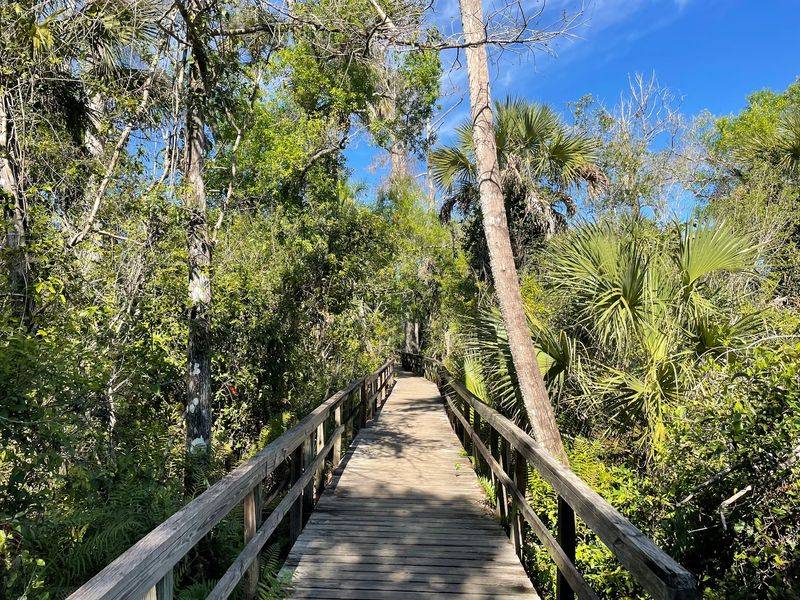 Big Cypress Bend Boardwalk, Naples, FL Big Cypress Bend Boardwalk, Naples, FL
