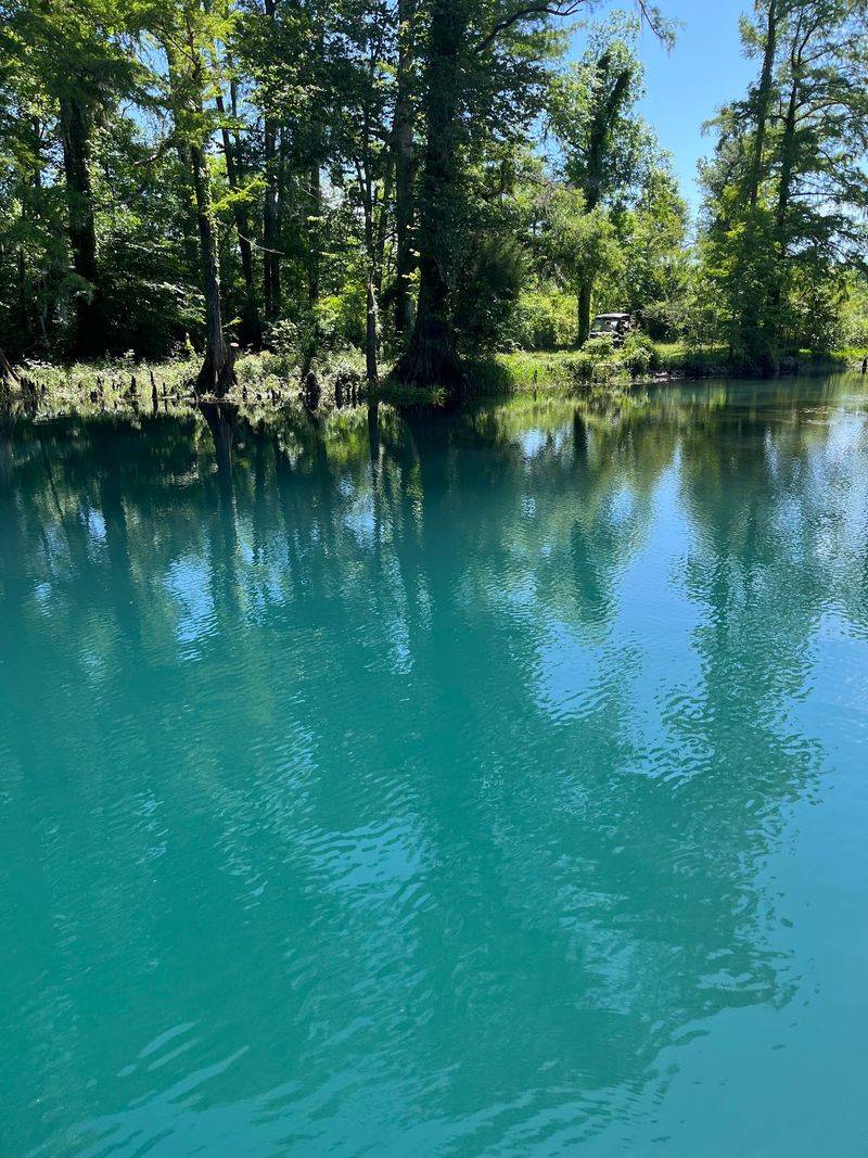 Blue Hole Spring's Chilly Welcome
